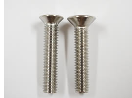 小頭の皿小ねじ