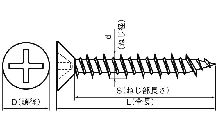 ビスピタ(皿(若井 25.0 4.0