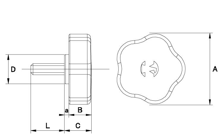 イーグルスターノブ 五平 10.0 6.0