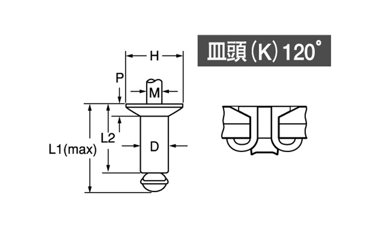 TAPK**SW(ピール 皿頭 アルミー鉄 4.0