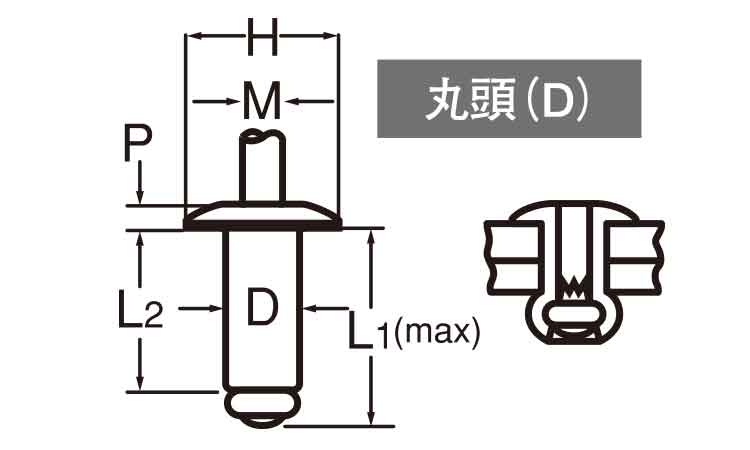 SSD**SSBS 丸頭(ステンーステン) 4.0