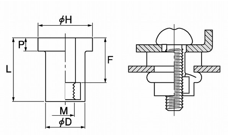 ウエルナット(スタンダード 3.0