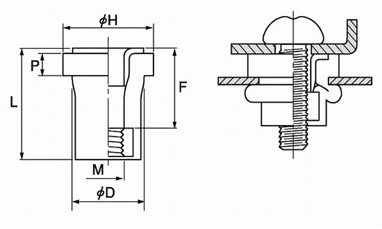 ウエルナット(スリーブ 3.0
