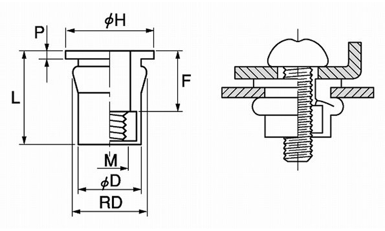 ウエルナット(スナップ 4.0