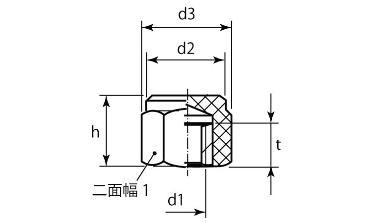 22691メネジプラスチック本体