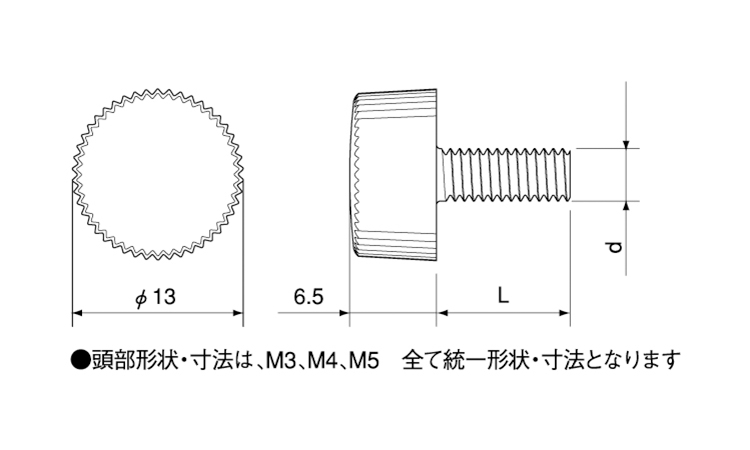 FASNY つまみねじ 6.0 3.0