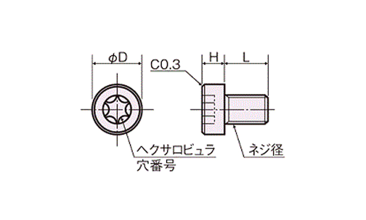 レニーヘクサロビュラ穴低頭ボルト 53.0