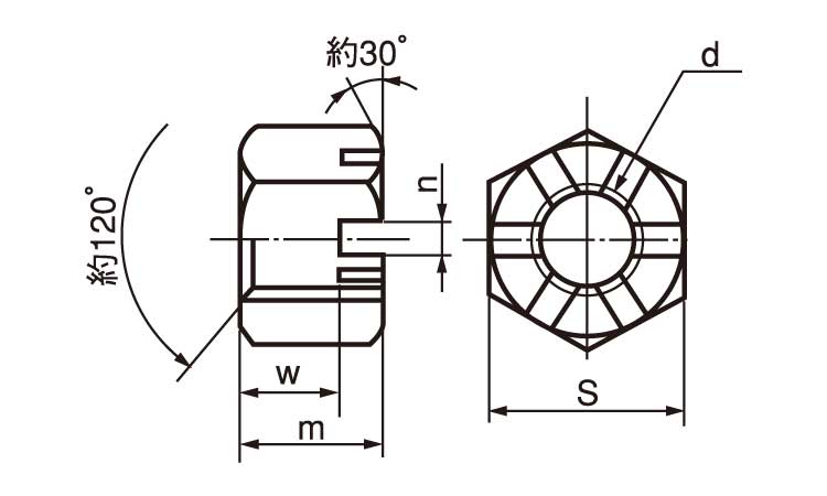 溝付ナット(高形(1種(極細 36.0