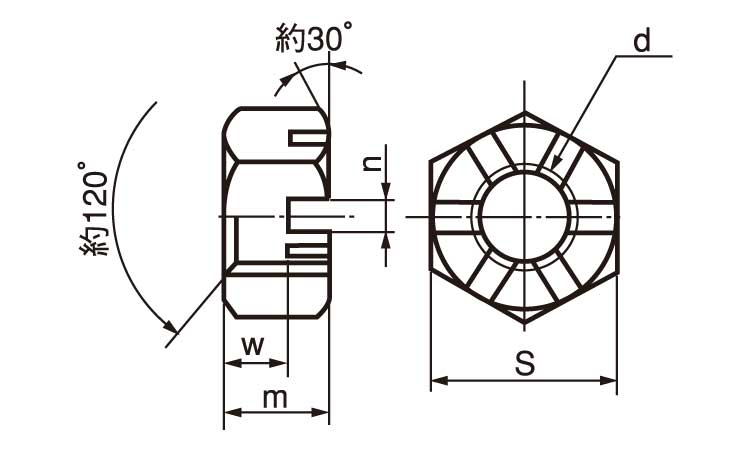 溝付ナット(低形(1種(その他細目 24.0