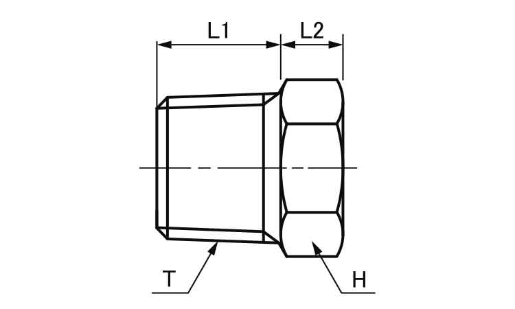 六角テーパプラグ(1/4(イハラ