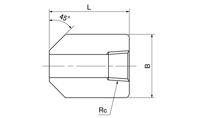 ねじ込み 高圧 ボスカップリング