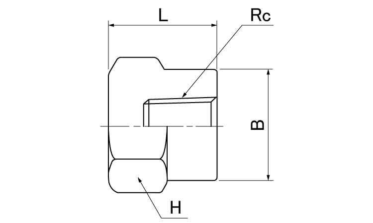 ねじ込み 高圧 六角キャップ
