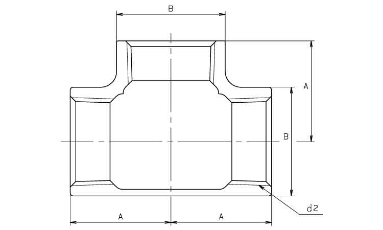 チーズ(PTZ(KITZ 6.0