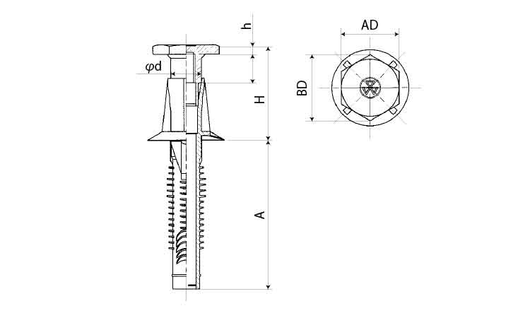 プラ ダンデッキ(緑)