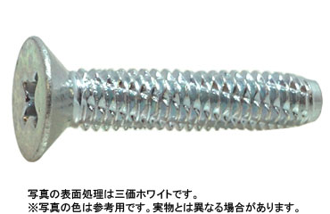 ダイヤスクリュー(+)皿