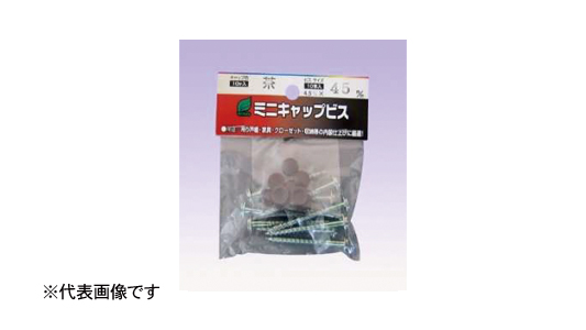 ミニキャップビス(ビニール袋(白