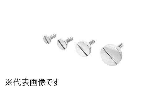 化粧ボルト 31号 D12