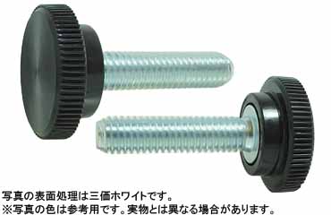 サムスクリュー(丸(黒