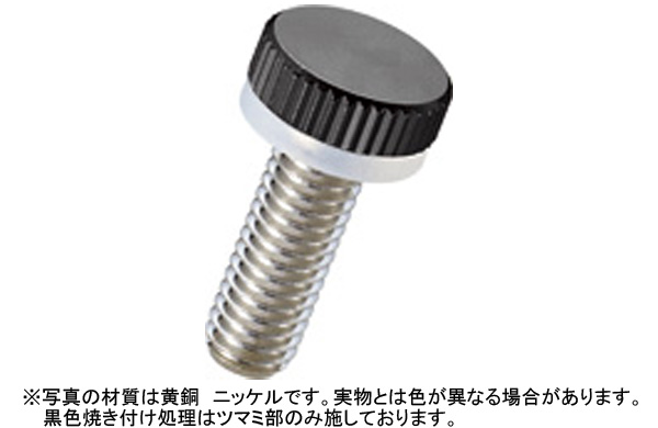 黄銅ローレットツマミNB?Z6GB?SR