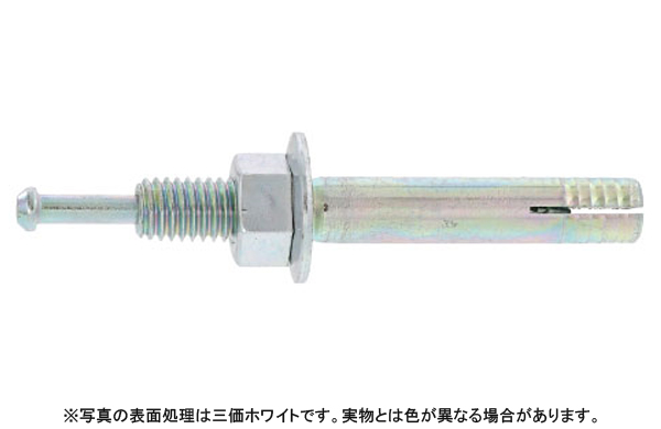 ベストアンカー(C/SC