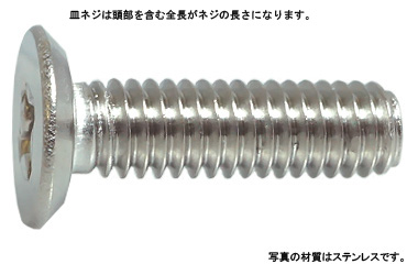 十字穴付（＋）皿アンダーカット（並目