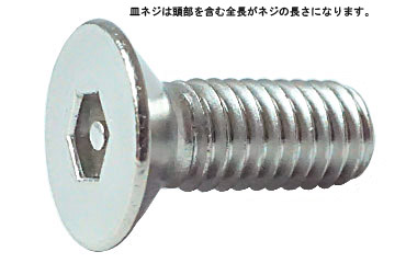 ピン六角・皿小ねじ