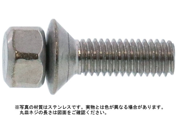 シメキリ丸皿ビス