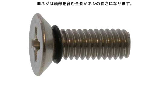 （＋）シールビス（皿）