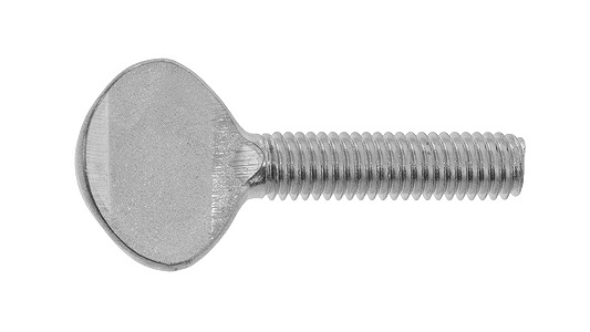 ウチワボルト（並目