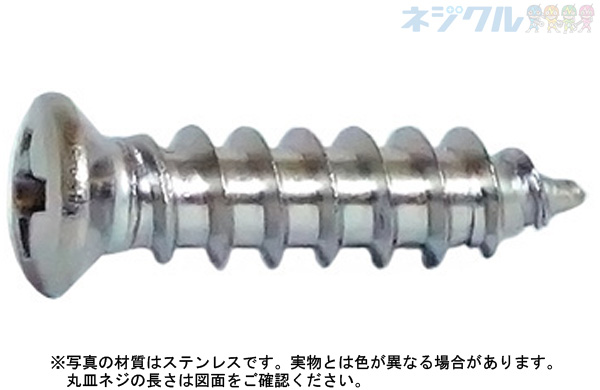 十字穴付（＋）Ａ丸皿　小頭