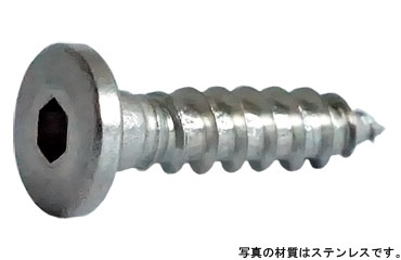 極低頭Ａ平タッピン（六角穴）
