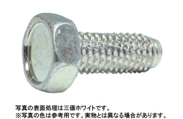 ダイヤスクリュー（六角）