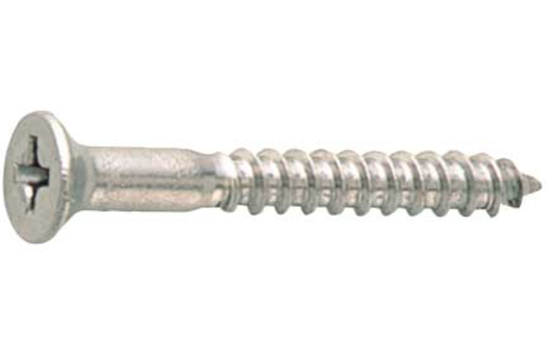 (+)皿木ねじ(バラ入