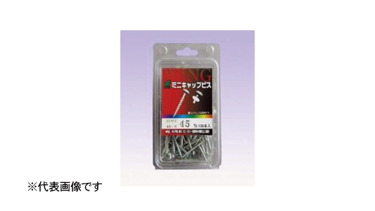 ミニキャップビス（パック入）