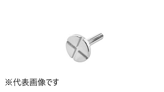 化粧ボルト　３３号