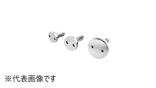化粧ボルト　８０号　Ｄ２０