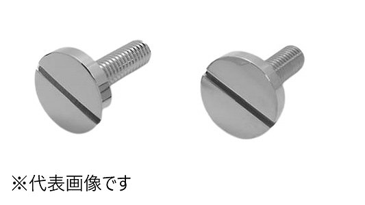 化粧ボルト　１３１号　Ｄ３０