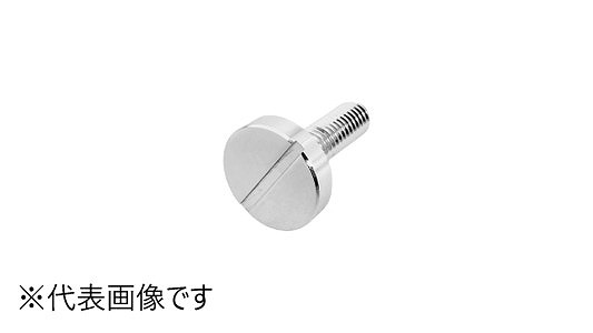 化粧ボルト　８３１号