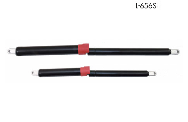 Ｌ－６５６Ｓ－＊