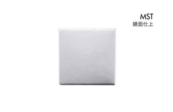 ＯＴ－Ｅ４６０－ＳＵＳ－ＭＳＴ