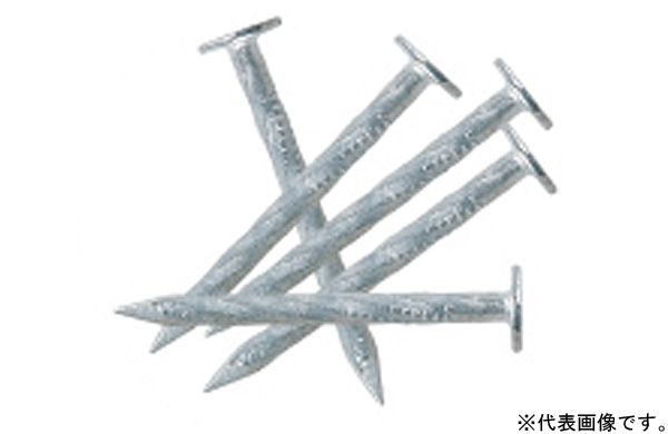 コート樋受スクリュー釘（コイチャ