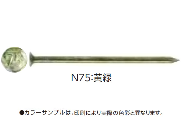 カラーＮ釘（黄緑（４ＫＧ（若井