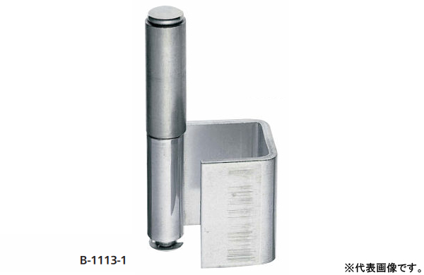 Ｂー１１３ー３