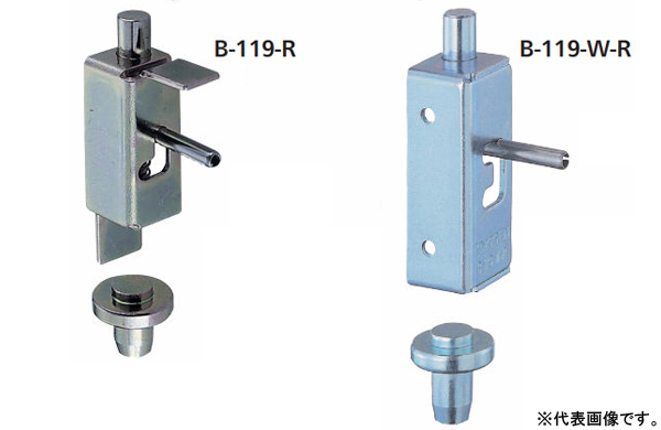 Ｂー１１９ーＲ