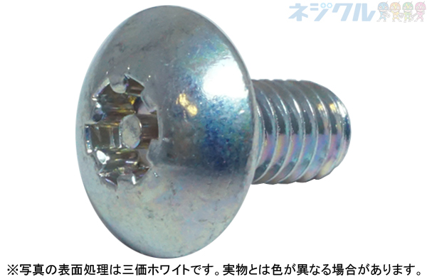 ＬＲトラス小ねじ（タンパー