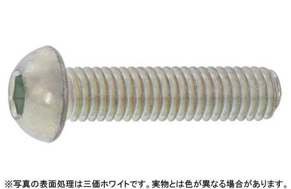 ボタンキャップボルト(アンスコ製(マルコ(SSS(並目