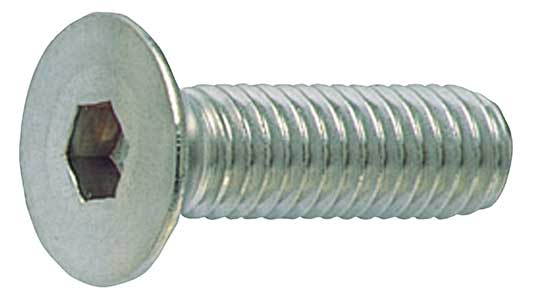 皿ＣＡＰ（ウィット