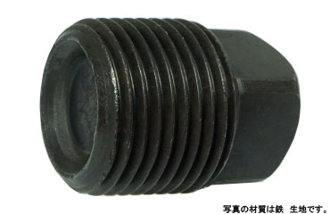 プラグーＳＨ（四角頭（ＴＫＳ