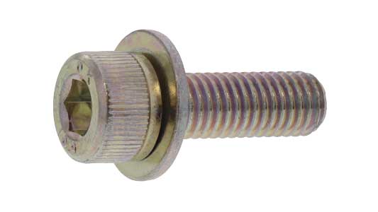 １０．９ＣＡＰ　Ｐ＝１（岡井（並目