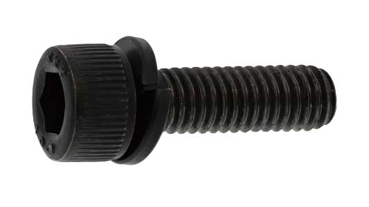 ＣＡＰーＳＷ（Ｐ＝２（極東製作所（並目